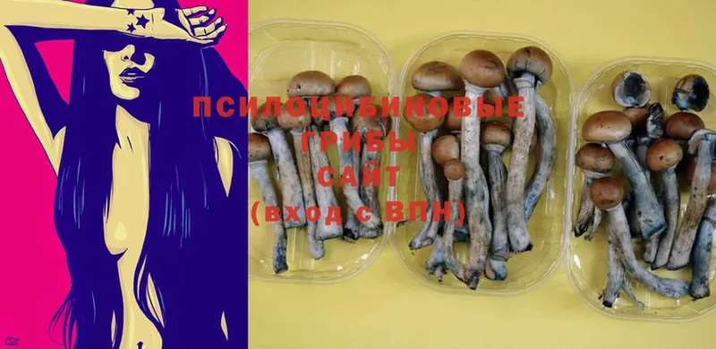 Псилоцибиновые грибы MAGIC MUSHROOMS  Байкальск 